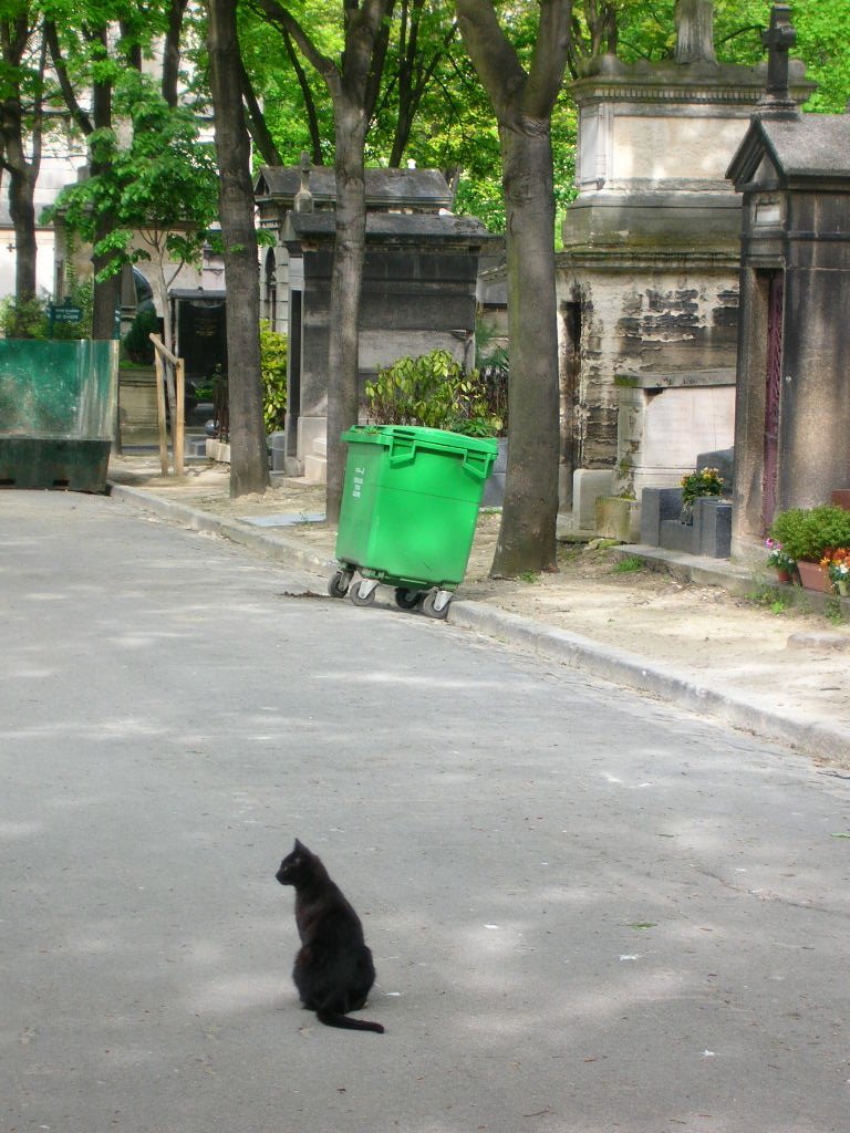 [DSCN1612.JPG]