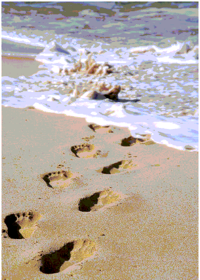 [footprints-beach.gif]