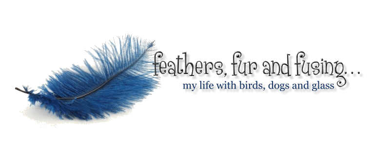 Feathers, fur and fusing......