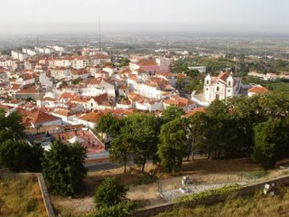 [DSC06419.JPG]