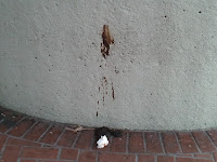 Human poop on wall and ground at SF Muni Castro St Station, Castro - San Francisco CA 94114