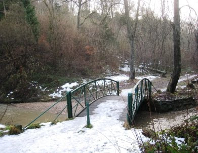 Bridge in Castle Eden Dene Bridge