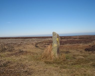 Danby Low Moor: Siss Cross Siss Cross