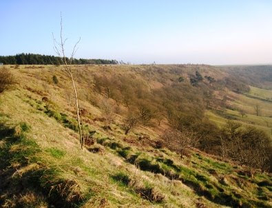 Hole of Horcum - looking south from {SE 848 941} Photo of Hole of Horcum area.