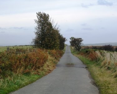 Start of the walk - Gerrick Lane Gerrick Lane