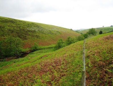 River crossing near Ankness: Hodge Beck Hodge Beck
