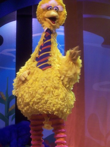 [bbird.jpeg]
