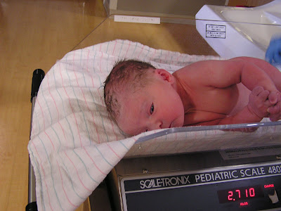 Newborn+hospital+door+hangers