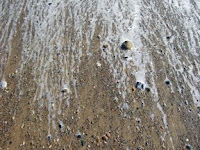 foam fringes