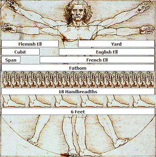 vitruvian man