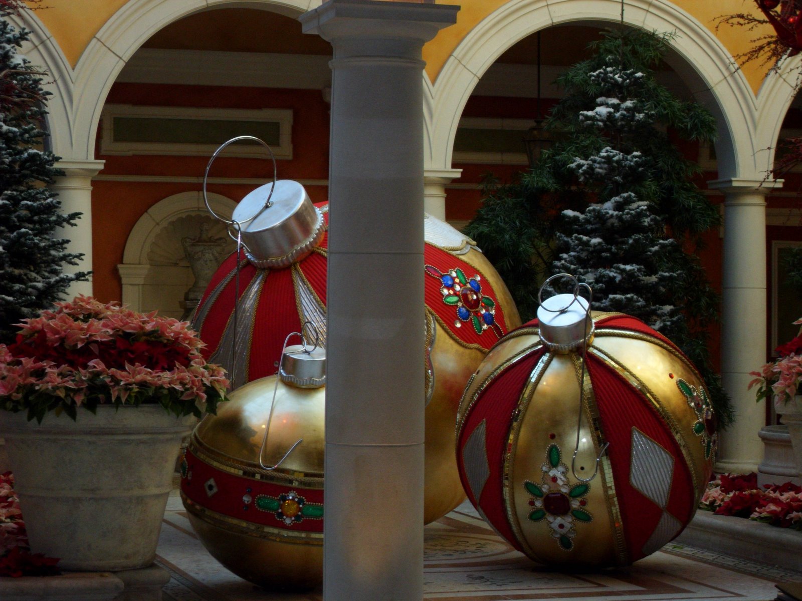 [SDC10019.JPG]