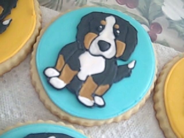 How To Make Icing For Dog Treats How To Make Icing For Dog Treats