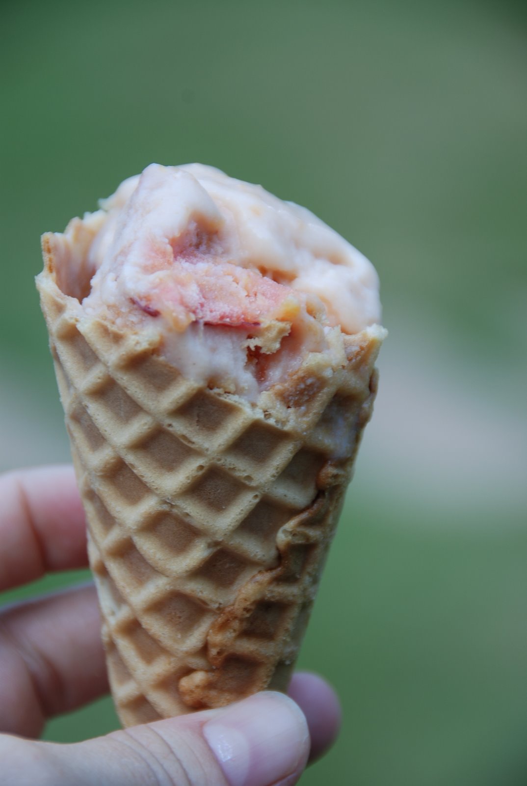 Chickenville: Creamy Peach Ice Cream