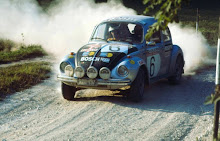 Rally Bugs