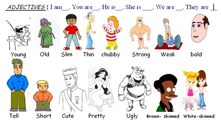 list all the adjectives in amy's
