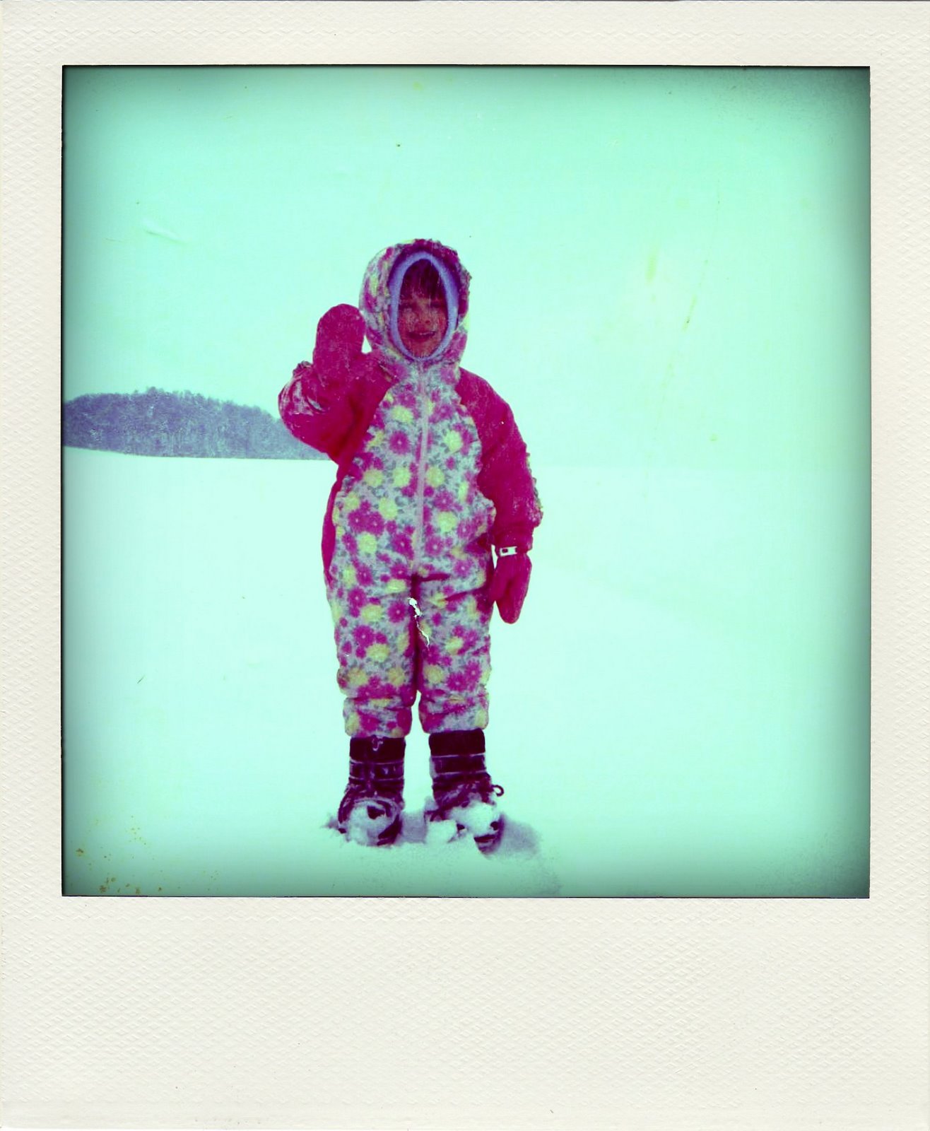 [ski-pola01.jpg]