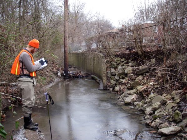 [Northwoods_pole_7621.jpg]