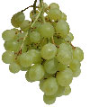 [grapes.jpg]