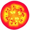 [tomato.jpg]