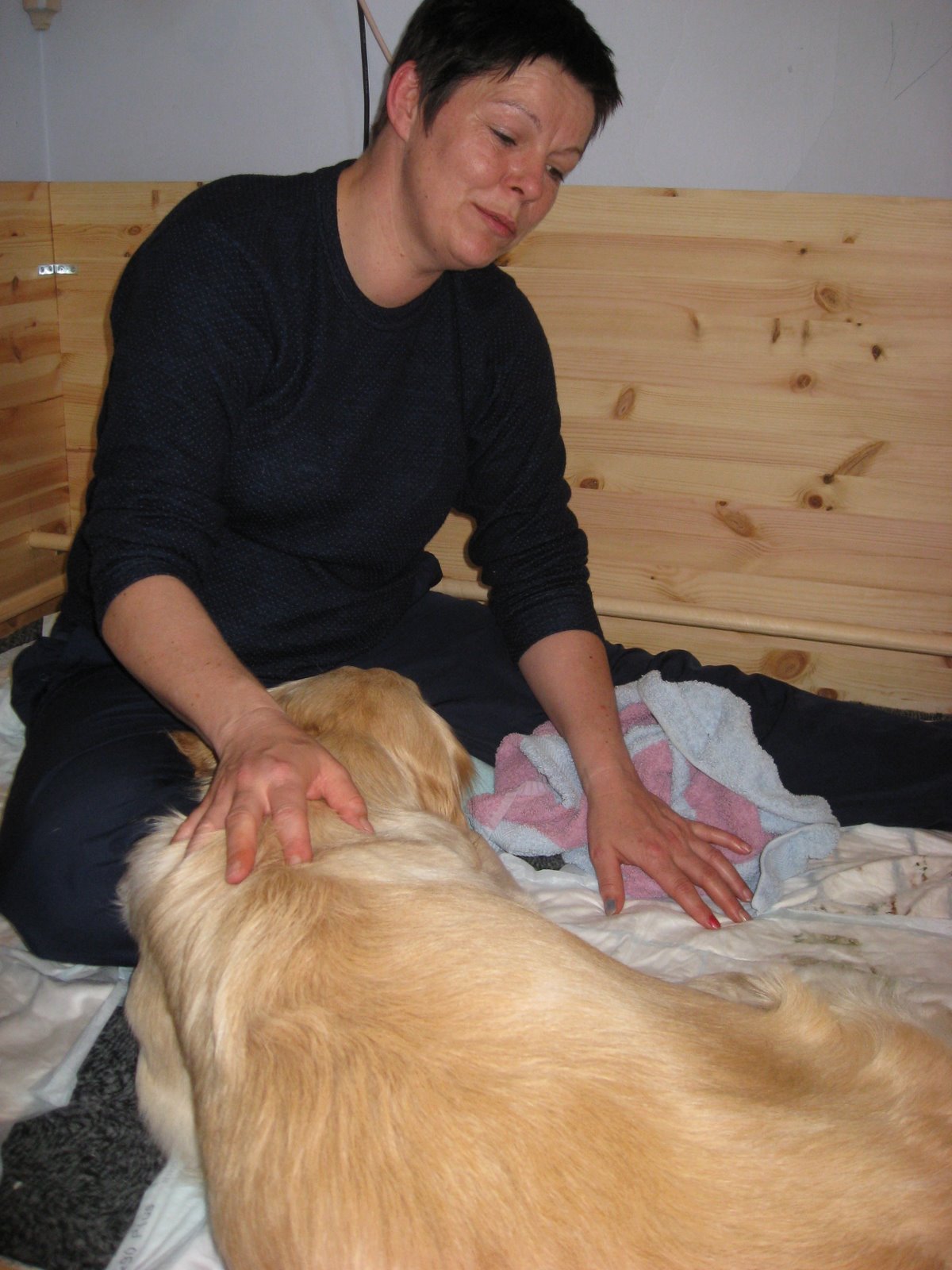 [Ronjas+valper+14.mai+2009+043.JPG]