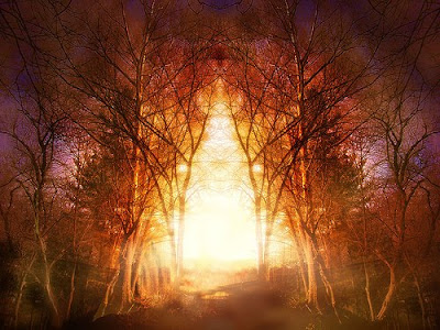 Backgrounds - Wallpapers backgrounds wallpaper. Backgrounds - Wallpapers