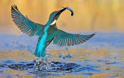 Beauty Of This World photo
