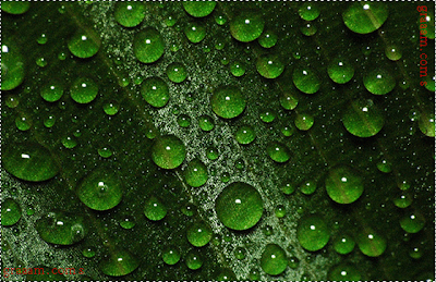 this is blue color water drops