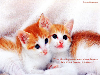 Wonderful Friendship Wallpaper friendship wallpaper. Wonderful Friendship Wallpaper