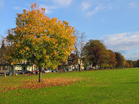 Autumn de Forest Photos