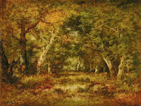 Autumn de Forest Photos