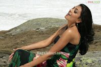 Kajal Agarwal Looking Sexy in Green & Hot Dress