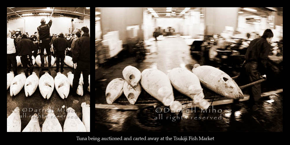 [tsukiji05_008blg.jpg]