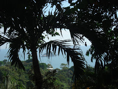 View from Si Como No in Manuel Antonio, Costa Rica
