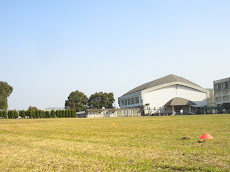 Geitan College Field