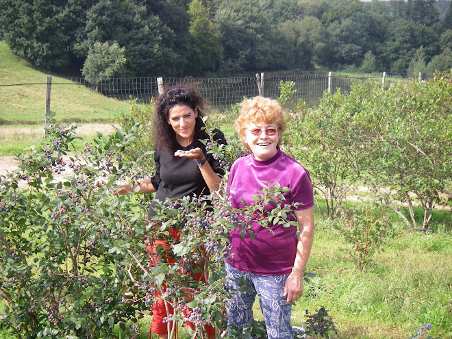 simone et malika