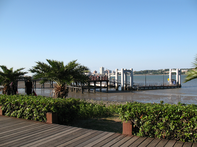 [IMG_7992_resize.PNG]