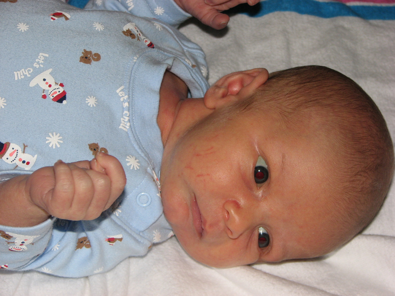 [IMG_3845_2.JPG]