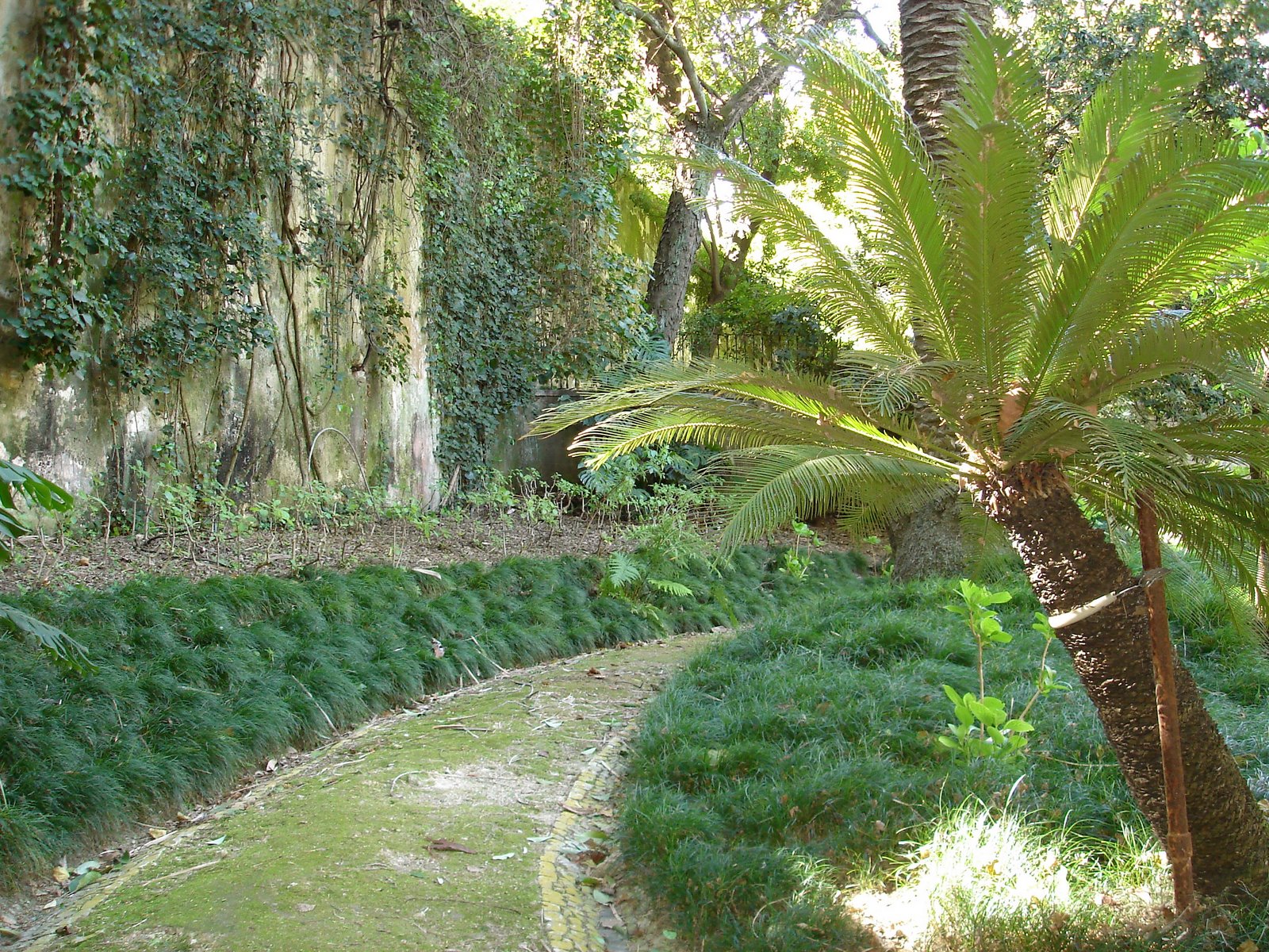 [Jardim+Botanico+2.JPG]