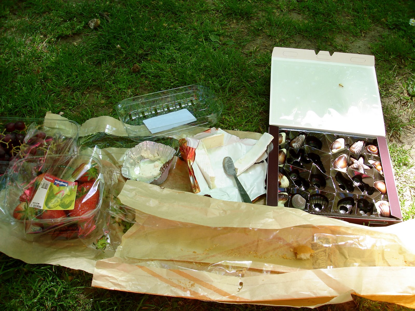 [Picnic+After.JPG]