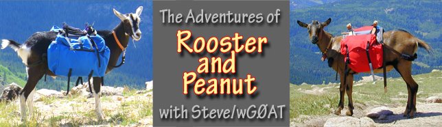 Peanut & Rooster Adventures
