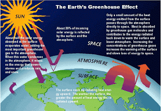 Global warming facts essay