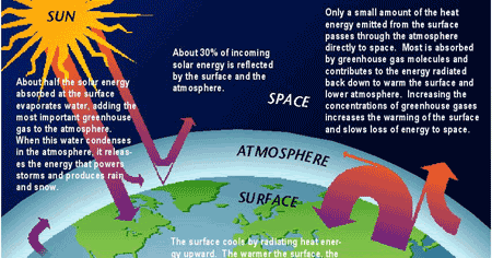 Global warming solutions essay