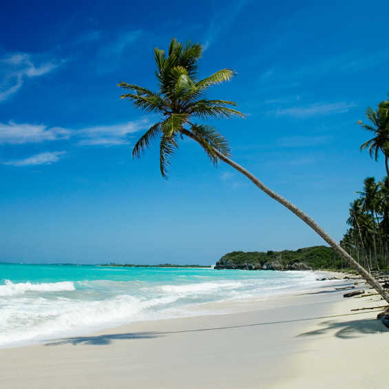 More About Sai Sankoh White sand beach More About Sai Sankoh