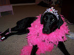 Bailey Jo