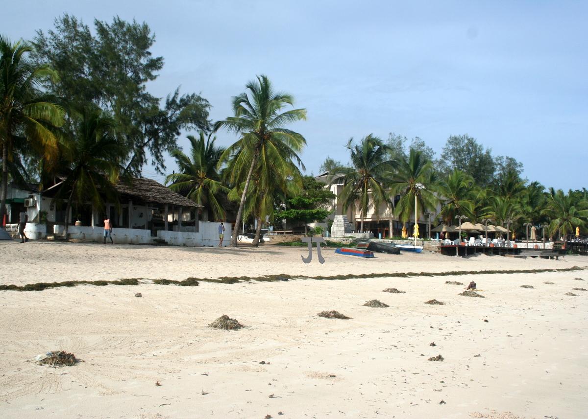 [IMG_7015pi.JPG]
