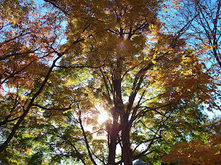 Beautiful New England fall foliage with blue sky and sun