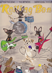 Cover of Rolling Bone