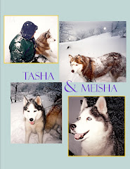 Tasha and Meisha