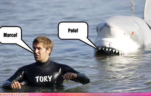 [celebrity-pictures-tory-belleci-marco-polo.jpg]
