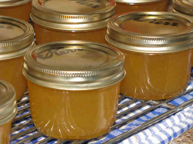 Diane's World By Request Meyer Lemon Jelly Recipe